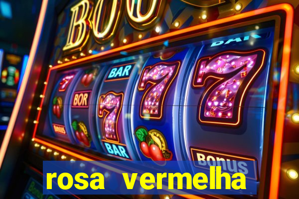 rosa vermelha (letra e cifra)